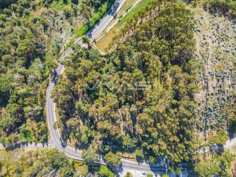 Terreno Rústico  Venda em Pico,Vila Verde