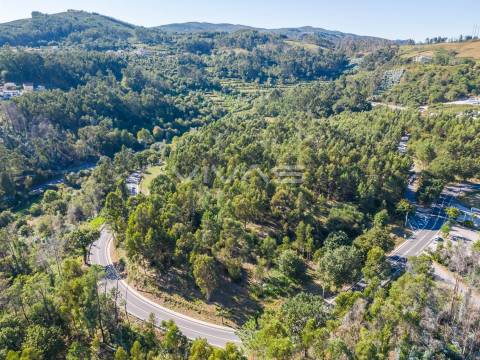 Terreno Rústico  Venda em Pico,Vila Verde