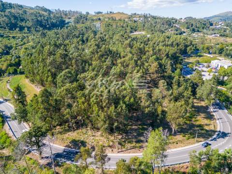 Terreno Rústico  Venda em Pico,Vila Verde