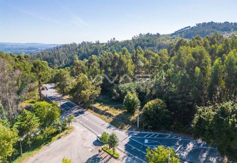 Terreno Rústico  Venda em Pico,Vila Verde