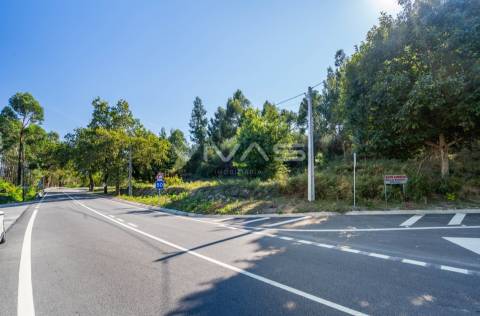 Terreno Rústico  Venda em Pico,Vila Verde