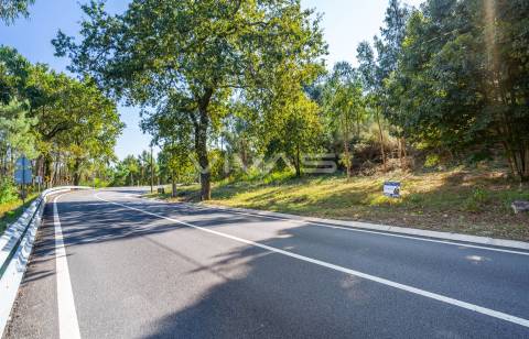 Terreno Rústico  Venda em Pico,Vila Verde