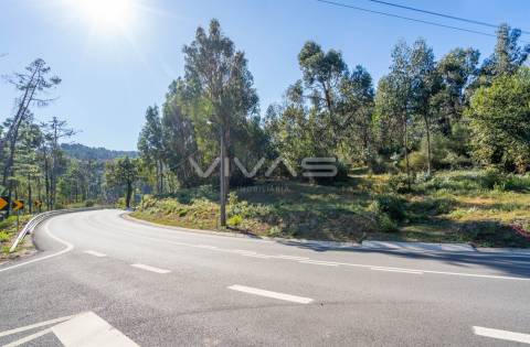 Terreno Rústico  Venda em Pico,Vila Verde