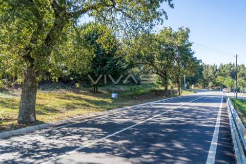 Terreno Rústico  Venda em Pico,Vila Verde