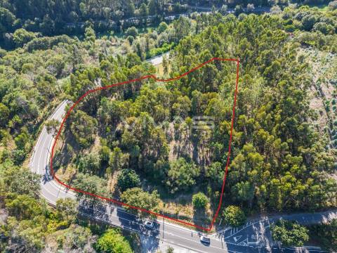 Terreno Rústico  Venda em Pico,Vila Verde