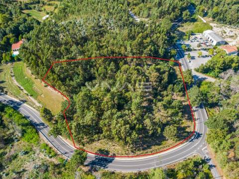 Terreno Rústico  Venda em Pico,Vila Verde