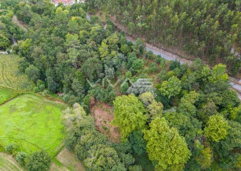 Terreno  Venda em Valbom (São Pedro), Passô e Valbom (São Martinho),Vila Verde