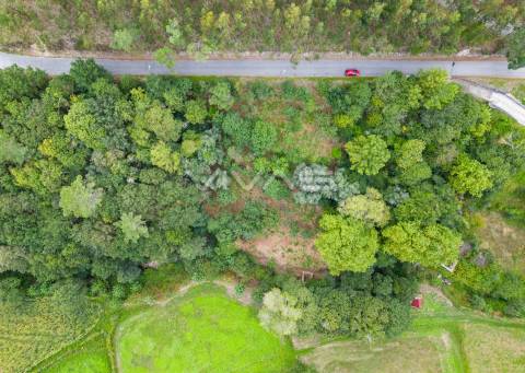 Terreno  Venda em Valbom (São Pedro), Passô e Valbom (São Martinho),Vila Verde