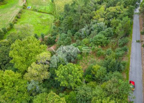 Terreno  Venda em Valbom (São Pedro), Passô e Valbom (São Martinho),Vila Verde