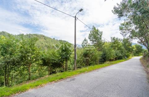 Terreno  Venda em Valbom (São Pedro), Passô e Valbom (São Martinho),Vila Verde