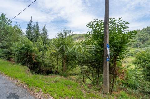 Terreno  Venda em Valbom (São Pedro), Passô e Valbom (São Martinho),Vila Verde