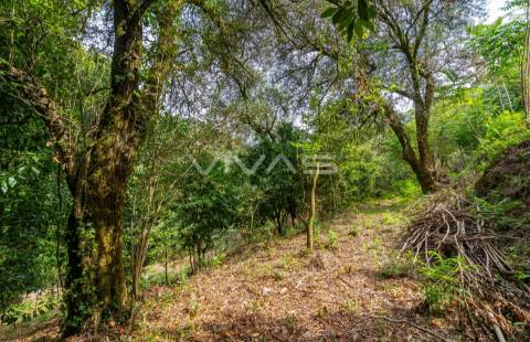 Terreno  Venda em Valbom (São Pedro), Passô e Valbom (São Martinho),Vila Verde