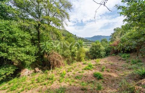 Terreno  Venda em Valbom (São Pedro), Passô e Valbom (São Martinho),Vila Verde