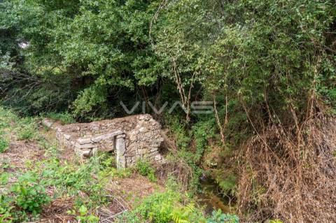 Terreno  Venda em Valbom (São Pedro), Passô e Valbom (São Martinho),Vila Verde