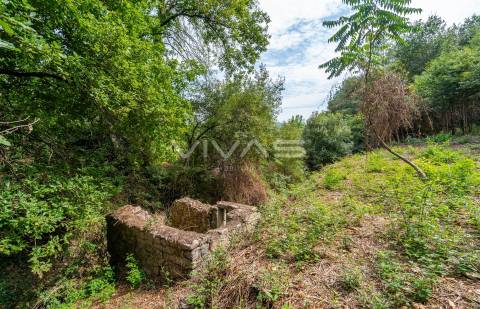 Terreno  Venda em Valbom (São Pedro), Passô e Valbom (São Martinho),Vila Verde