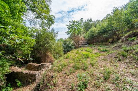 Terreno  Venda em Valbom (São Pedro), Passô e Valbom (São Martinho),Vila Verde