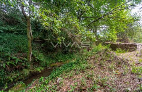 Terreno  Venda em Valbom (São Pedro), Passô e Valbom (São Martinho),Vila Verde