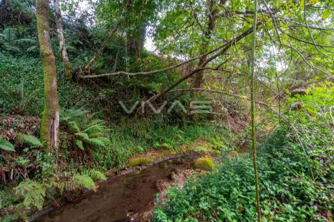 Terreno  Venda em Valbom (São Pedro), Passô e Valbom (São Martinho),Vila Verde