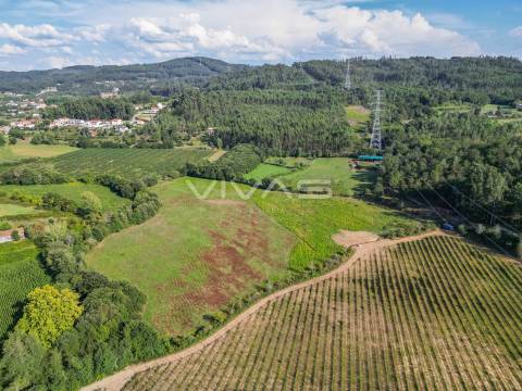Terreno  Venda em Ribeira do Neiva,Vila Verde