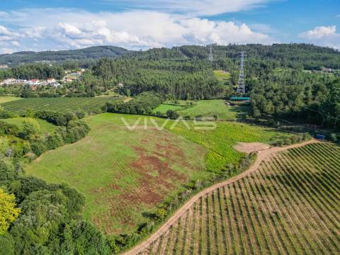 Terreno  Venda em Ribeira do Neiva,Vila Verde