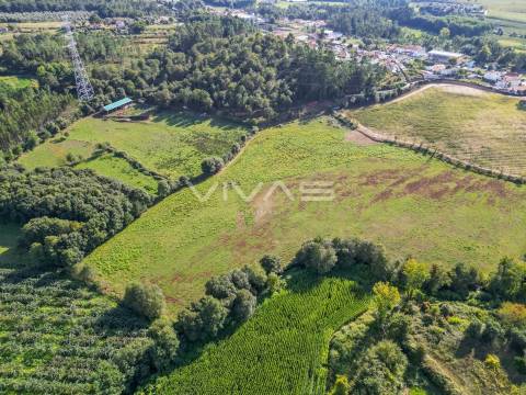 Terreno  Venda em Ribeira do Neiva,Vila Verde