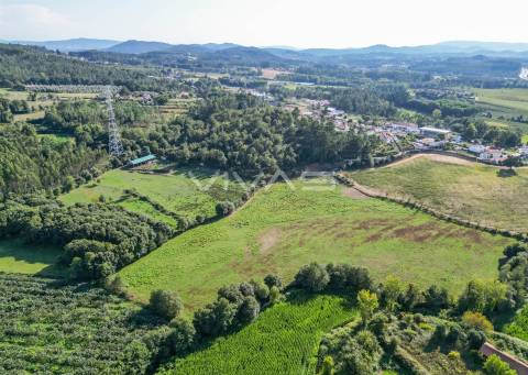 Terreno  Venda em Ribeira do Neiva,Vila Verde