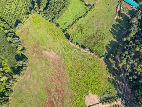Terreno  Venda em Ribeira do Neiva,Vila Verde