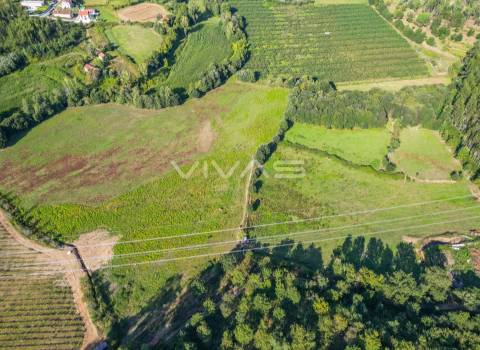 Terreno  Venda em Ribeira do Neiva,Vila Verde