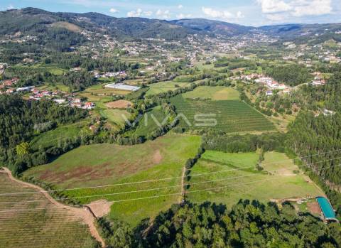 Terreno  Venda em Ribeira do Neiva,Vila Verde