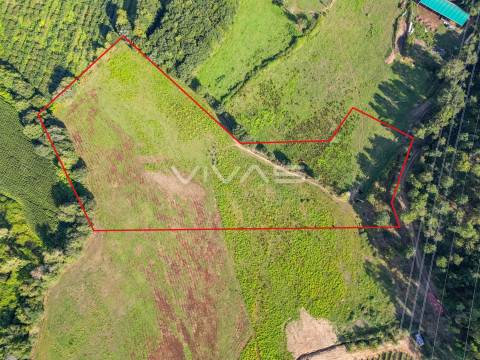 Terreno  Venda em Ribeira do Neiva,Vila Verde