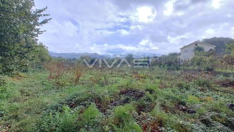 Terreno  Venda em Prado (São Miguel),Vila Verde