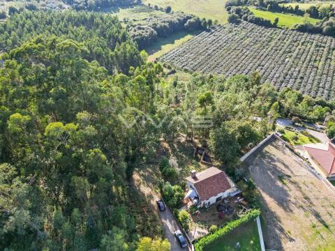 Moradia Isolada T0 Venda em Ribeira do Neiva,Vila Verde