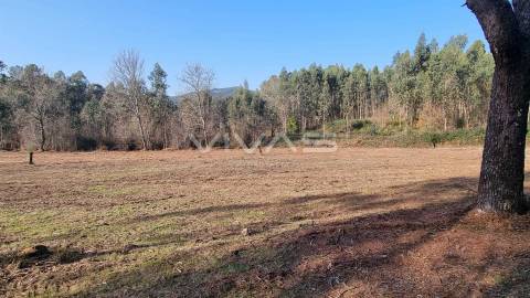 Moradia para recuperar em Gondiães, Vila Verde