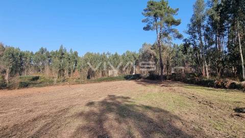 Moradia para recuperar em Gondiães, Vila Verde