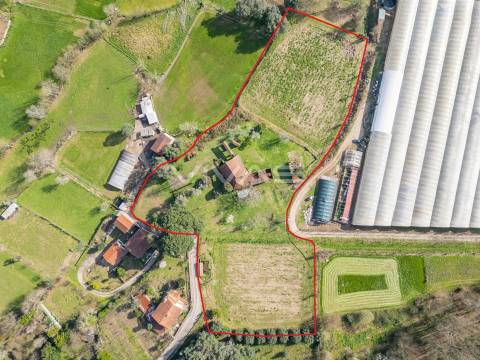 Quintinha T0 Venda em Pico de Regalados, Gondiães e Mós,Vila Verde