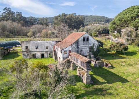 Quintinha T0 Venda em Pico de Regalados, Gondiães e Mós,Vila Verde