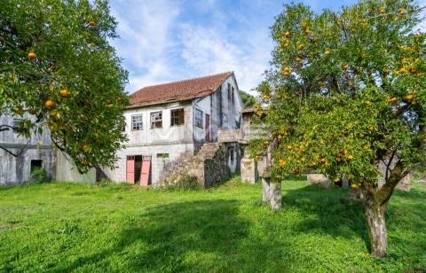 Quintinha T0 Venda em Pico de Regalados, Gondiães e Mós,Vila Verde