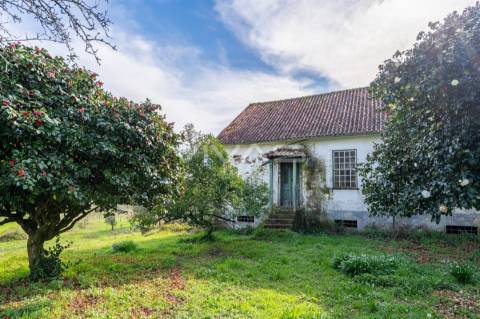 Quintinha T0 Venda em Pico de Regalados, Gondiães e Mós,Vila Verde