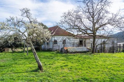 Quintinha T0 Venda em Pico de Regalados, Gondiães e Mós,Vila Verde