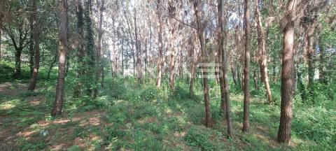 Terreno  Venda em Sande, Vilarinho, Barros e Gomide,Vila Verde