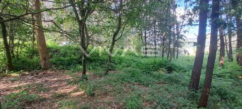 Terreno  Venda em Sande, Vilarinho, Barros e Gomide,Vila Verde