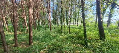 Terreno  Venda em Sande, Vilarinho, Barros e Gomide,Vila Verde