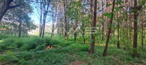 Terreno  Venda em Sande, Vilarinho, Barros e Gomide,Vila Verde