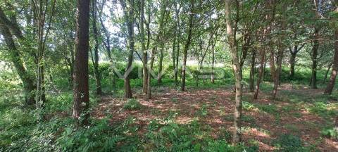 Terreno  Venda em Sande, Vilarinho, Barros e Gomide,Vila Verde