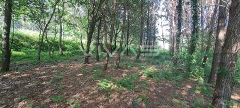 Terreno  Venda em Sande, Vilarinho, Barros e Gomide,Vila Verde