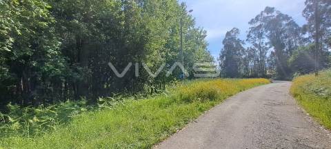 Terreno  Venda em Sande, Vilarinho, Barros e Gomide,Vila Verde