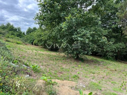Terreno Para Construção  Venda em Lanhas,Vila Verde