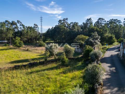 Investimento: Moradia para Restauro em Vila Verde - Vivas