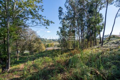 Terreno para construção em Loureira, Vila Verde