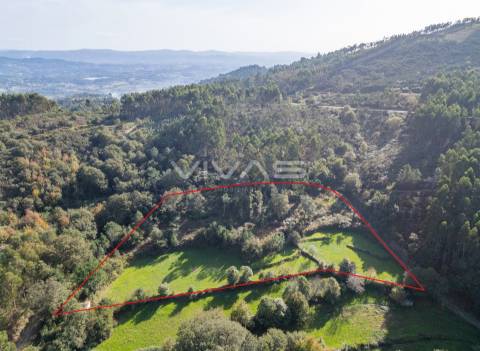 Terreno agrícola em Penascais, Vila Verde